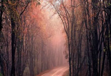 教育新闻中心是什么级别媒体类型的单位,教育新闻中心是什么级别媒体类型的单位