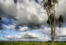 中国教育新闻中心地址在哪里呀,中国教育新闻在线