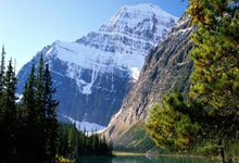 教育行业动态分析论文范文大全参考,教育行业分析报告范文